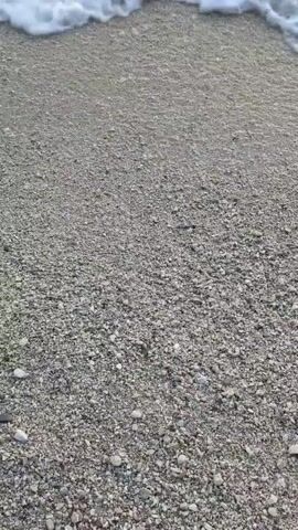 The video shows a close-up of a pebble beach with gentle waves lapping at the shore. The pebbles are a mix of gray, white, and tan colors, and they are smooth and rounded. The waves are clear and transparent, with white foam cresting as they break on the beach. The lighting suggests it is daytime, possibly late afternoon or early morning due to the soft light. The scene is peaceful and serene. There are no people or other objects visible in the frame.