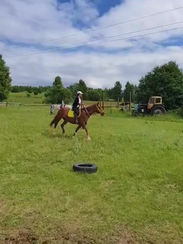 A brown horse with a rider in a yellow vest is being led by a person on foot in a grassy field. In the background, there is a white horse with a rider, a small brown horse, a tractor, and a wooden fence. There is a tire lying in the grass in the foreground. The sky is partly cloudy.