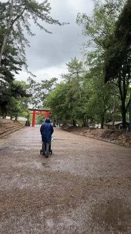 A low-angle, back-facing shot shows a person in a blue rain jacket pushing a stroller down a wide dirt path in a park on a cloudy day. Trees with green leaves line both sides of the path. A red torii gate is visible in the distance.