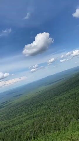 A panoramic view from a rocky cliff overlooks a vast, undulating forest under a bright blue sky dotted with fluffy white clouds. The forest, a dense expanse of green, stretches as far as the eye can see, with subtle variations in shade indicating topography. The sky is a clear, vibrant blue, with a few distinct, cumulus clouds drifting lazily. The camera appears to be mounted on a drone or held by someone standing on the edge of the cliff, offering a sweeping, slightly angled perspective of the landscape. The lighting suggests it is daytime, likely late morning or early afternoon, with the sun casting a gentle glow over the scene. No people are visible, nor are any man-made structures. The focus is entirely on the natural beauty of the wilderness.