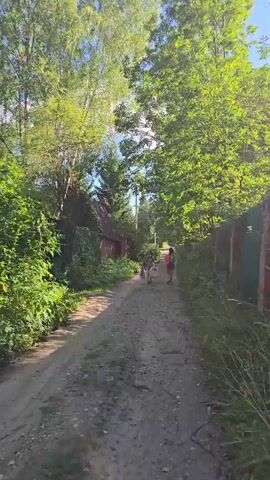 The video shows a dirt road with trees and fences on either side. The road is unpaved and appears to be in a rural or suburban area. There are at least three people, possibly children, walking away from the camera down the road. They are dressed in casual clothing. The trees are lush and green, indicating a warm season, likely summer. The sky is visible above the trees and appears to be clear and bright, suggesting it is daytime. There is a small building with a red roof visible on the left side of the road. The fences on both sides of the road are made of wood or metal and are partially covered with greenery. The overall impression is that of a pleasant, sunny day in a natural setting.