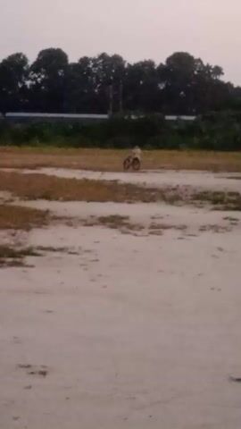 A lone child rides a bicycle across a sandy, open field. The child is wearing a light-colored shirt and dark shorts. The bicycle is dark-colored. In the background, there is a line of trees and a faint indication of a structure or pole. The sky is overcast, suggesting either dawn or dusk. The ground is mostly sandy with patches of dry grass.