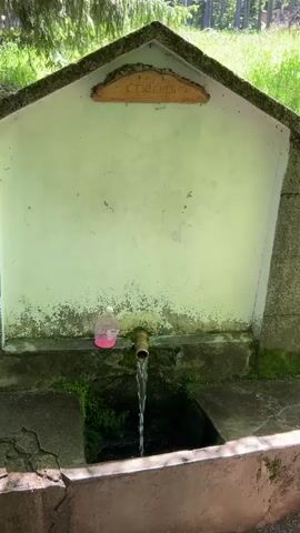 A stream of water flows from a bronze faucet into a concrete basin. The faucet is mounted on a white-painted concrete structure, possibly a well or fountain, with a stone roof and stone block sides. A pink bottle is visible to the left of the faucet. Above the faucet, a wooden sign with carved text is affixed to the white surface. The structure is surrounded by lush green vegetation, including grass and trees, suggesting an outdoor, possibly wooded, setting. Sunlight filters through the leaves, creating dappled shadows on the ground. The camera pans slightly to the right, revealing more of the surrounding greenery and the dirt path leading away from the water source.