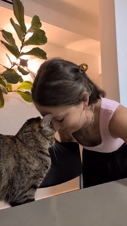 Pancakes, a tabby cat, and guilty pleasures in Ramat Gan