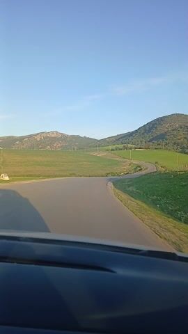 The video shows a drive on a rural road towards a herd of sheep. The road curves gently through green, grassy fields dotted with utility poles. In the distance, there are low, rolling hills covered with trees and shrubs. The sky is clear and blue with just a hint of clouds. As the car approaches the curve, a shepherd standing near the sheep becomes visible. The view is from inside the car, with the dashboard partially visible.