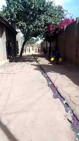 The video shows a dusty alleyway in an outdoor environment, likely a residential or commercial area. The alleyway is paved with light-colored concrete or a similar material. A drainage ditch runs along the center of the alleyway, filled with water and debris including pink flower petals and plastic waste. Buildings flank both sides of the alleyway. Trees with green foliage and a bougainvillea plant with red flowers provide shade over sections of the path. In the distance, several people are visible. One person is wearing a tan garment and walking towards the camera. Two other individuals stand further away. One is wearing a red shirt, and the other is wearing a blue shirt. On the right side of the alleyway, near the camera, a person is bent over with a yellow bucket. The camera is static, providing a street-level perspective of the scene.