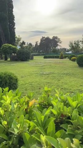The video shows a park-like setting with lush green grass and various types of trees and bushes. In the foreground, there are bright green leaves of a shrub. The middle ground features manicured bushes and a grassy area. In the background, there are taller trees, including what appear to be cypress trees. To the left, a small stone building with a red roof and a steeple is visible, along with a sign that reads "IA SCOL..." and another structure that looks like a building with a bell tower. The sky is partly cloudy with the sun visible. The camera appears to be panning slightly to the right, giving a panoramic view of the serene environment. There are no people visible in the video.
