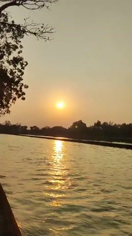 The video shows a body of water with ripples on the surface. In the background, there is a line of trees along the horizon. The sky is a pale yellow-orange, suggesting either sunrise or sunset. The sun is visible as a bright orb in the upper left quadrant of the frame, casting a golden reflection on the water. There is a dark, raised structure running horizontally across the middle of the frame, separating the water from the treeline. A single tree branch with a few leaves is visible in the upper left corner of the frame. The video pans slightly to the right, revealing more of the treeline and sky.