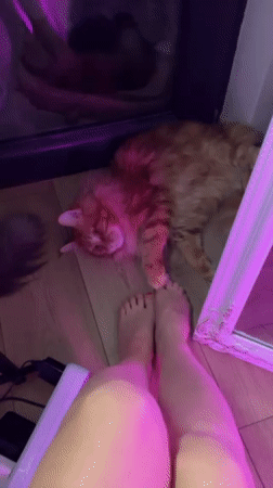 Evening selfies and rainy street scenes captured in Batumi