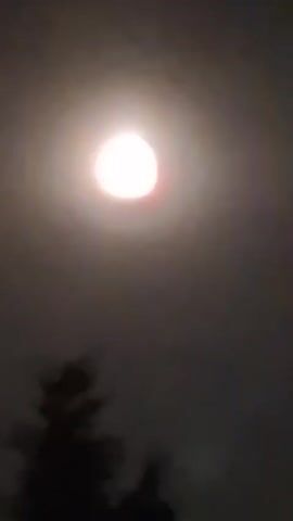 The video captures a moonlit night sky. Initially, the moon appears somewhat blurred with a reddish hue around it, possibly due to atmospheric conditions or camera lens effects. As the video progresses, the view shifts to a wider scene. The moon becomes a clear, bright disc in the center of the frame. Silhouetted against the moonlight are the dark shapes of trees and buildings. The overall atmosphere is calm and serene, characteristic of a quiet night.
