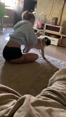 A young woman with blonde hair in a ponytail, wearing a light blue hoodie and black shorts, sits cross-legged on a beige rug in a living room. She is petting a pug. The pug is a fawn color with a black mask and is facing away from the camera. The woman's left arm is extended and appears to be holding a white object, possibly a grooming brush, which she is using on the dog's back. A tattoo is visible on her left thigh. In the background, a television stand with shelves holds various items, including bottles, a decorative Christmas tree, and a framed picture. Sunlight streams in from a window on the left side of the frame, casting shadows across the rug. The lower part of the image shows a person's legs covered in a beige blanket or throw.