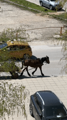 Morning scenes captured in Goce Delcev: horse cart, mountain views, breakfast