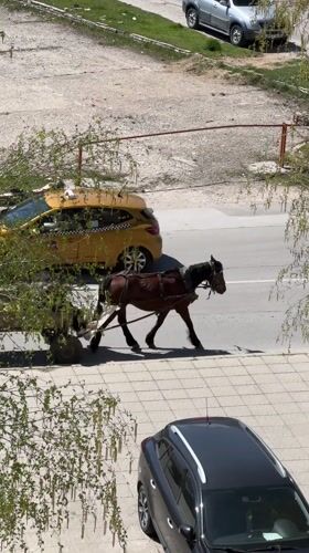 Morning scenes captured in Goce Delcev: horse cart, mountain views, breakfast