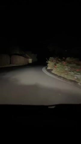 The video shows a dark road at night, viewed from inside a vehicle. The headlights illuminate the road ahead, revealing a slight curve to the right. On the left side of the road, there is a hedge and a building. On the right side, there are plants and what appear to be streetlights. The video is short and shows the car moving forward. No people are visible.