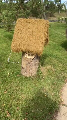 A whimsical, miniature fairy house is the central focus of this video. The house is crafted from a thick tree stump, its rough bark serving as the foundation. Perched atop the stump is a thatched roof, made of dried, straw-like material, giving it a rustic, cozy appearance. A small, decorative window with a lattice pattern is affixed to the front of the stump, suggesting an entrance or a glimpse into the fairy dwelling. The house sits in a grassy yard, with green grass and scattered fallen leaves covering the ground. In the background, the soft green foliage of trees and bushes creates a natural, serene setting. The lighting is natural, indicating an outdoor scene, likely during the daytime. The video has a static camera position and a consistent zoom level, providing an unchanging perspective of the charming fairy house and its surroundings.