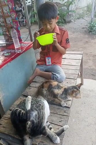 Rural East Java morning: food, fields, and everyday village life