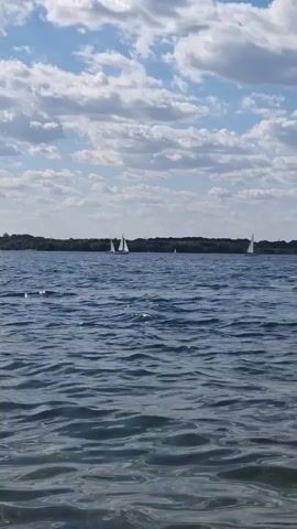 The video shows a wide shot of a calm lake on a partly cloudy day. Several sailboats with white sails are visible in the distance, scattered across the water. A dark line of trees forms the horizon behind the lake. The foreground consists of gently rippling blue water, with sunlight glinting off the surface. The sky is blue with scattered white clouds.
