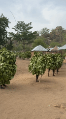 Traditional leaf costume ceremony held in Nigerian village