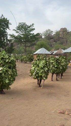 Traditional leaf costume ceremony held in Nigerian village