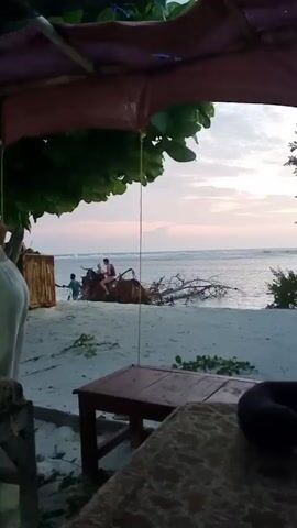 The video shows a beach scene viewed from under an umbrella. The sky is a light pink and the water is calm. There are some trees on the right and left side of the view. On the beach, there is a large piece of driftwood with a person on horseback. There are also two people standing near the driftwood and one person wading in the water. In the foreground, there is a small wooden table and a travel pillow.