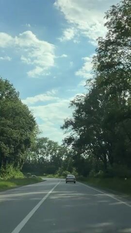 The video shows a view from inside a car driving on a paved road. The road is surrounded by lush green trees on both sides, forming a canopy overhead. The sky is blue with scattered white clouds. A silver car is visible ahead on the road, driving in the same direction. The car appears to be moving at a moderate speed, navigating a gentle curve in the road. Yellow road signs with black arrows are visible along the side of the road, indicating upcoming turns. The overall impression is a scenic drive through a wooded area on a bright, sunny day.