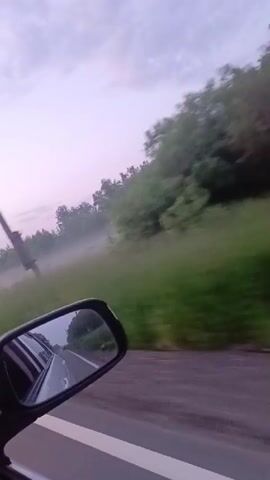 The video is filmed from the perspective of a passenger in a moving vehicle. The camera is focused on the side mirror, which reflects the road and the landscape behind the vehicle. The landscape is characterized by a grassy field with trees in the background, shrouded in a light mist. A tall utility pole is visible in the foreground. The sky is a pale purple, suggesting it is either dawn or dusk. The road is paved with white lines, indicating a highway or a similar road. The movement of the vehicle creates a blurred effect in the background, emphasizing the sense of motion.