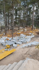 Cemetery documented in pine forest, Xuân Thành, Vietnam