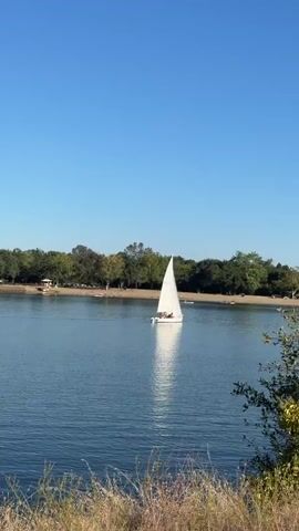 A sailboat with white sails is on a calm body of water under a clear blue sky. The sailboat appears to have several people on board. The shoreline in the background is lined with trees, and there are some buildings visible near the water's edge. In the foreground, there is greenery and dry grass. The overall scene depicts a peaceful day on the water.