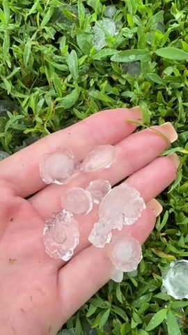 A close-up, high-angle shot focuses on a person's open hand, palm up, held over a patch of green grass. The hand, with manicured fingernails, contains several pieces of hailstones, ranging in size and shape from small, irregular chunks to larger, more spherical pieces. The hailstones are transparent or translucent, showing some internal structure and texture. The background consists of a dense carpet of vibrant green grass, also littered with numerous hailstones of varying sizes, some appearing clear and rounded, others more fragmented. The lighting suggests an overcast or diffused natural light, typical of a stormy or post-storm environment. The overall impression is one of a recent hailstorm.