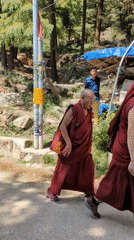 Buddhist monks walk paved road in sunny Dharamshala