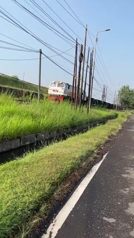 A train moves along tracks, passing through a grassy area. The train is white and orange with the KAI logo visible. Power lines are strung overhead. A ditch runs alongside the tracks, filled with water and surrounded by grass. A paved road is visible in the foreground.