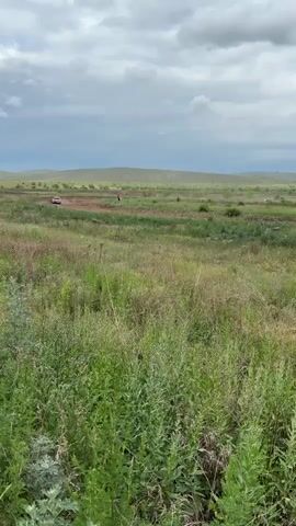 The video captures a rural, open landscape under a cloudy sky, suggesting an overcast day. The scene is dominated by tall, wild grasses and vegetation, indicating a natural, untamed environment. In the background, rolling hills create a sense of expanse.

The primary activity is a car race, likely an off-road or rally event, taking place on a dirt track that winds through the grassy terrain. A red and white car, prominently displaying the number "19" on its roof and side, is the focus of the action. The car appears to be struggling on the track, kicking up a significant amount of dust as it navigates a turn or a challenging section of the course. There are other vehicles and figures visible in the distance, suggesting the presence of other racers or spectators. A single person, wearing a red shirt, is standing in the middle of the track in the distance, observing the proceedings.

The overall impression is one of rugged, competitive racing in a natural, somewhat desolate setting. The weather appears to be typical for a cloudy day, with no strong indications of sun or rain. The location cues, such as the type of vegetation and the rolling hills, are consistent with a rural area. The visible text "19" on the car clearly identifies a participant in the event.