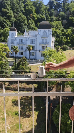 Morning tea service and puppies captured in Abkhazia