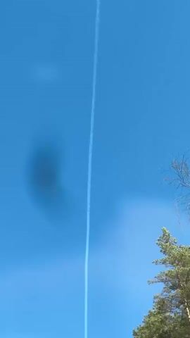 The video begins with a close-up of a bright blue sky, with a thin white contrail stretching vertically across it. The camera slowly pans down, revealing the tops of green pine trees at the bottom right of the frame. As the view widens, it shows a straight, paved road lined with trees on both sides, creating a tunnel-like effect. The trees are a mix of evergreens and bare deciduous trees, suggesting early spring. A single dark-colored car drives along the road, moving away from the viewer. The sky remains a clear blue, with the contrail still visible above. Road signs are visible on the side of the road.