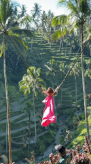 Woman swings above Tegallalang rice terraces in pink dress