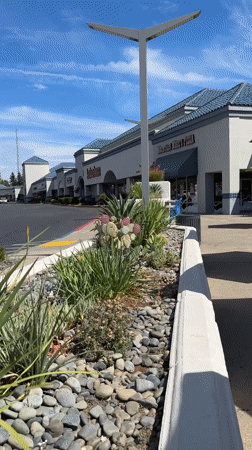 Roseville, United States of America