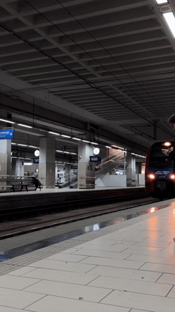 Trains observed at Belgrade Center station during evening hours