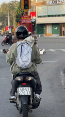 Motorcyclist rides through Da Lat with cat on shoulders