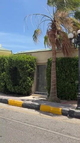 The camera slowly pans past the entrance to the Moreno Beach Naama Bay Resort in Egypt. A man in a red shirt is seen standing to the side in front of the entrance.  A group of three people are walking through the covered entrance. The building is tan and white with a green roof. Flags from different countries are flying in front of the building. On the side of the building are depictions of figures in gold and black which may be Egyptian hieroglyphics. There is a palm tree and decorative bushes alongside the building. The street has a yellow and black curb. The sky is blue.