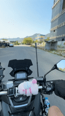 Morning motorcycle tour of Buddhist sites and scenic Nha Trang
