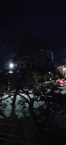 The video displays a nighttime outdoor scene. A tree with dark leaves and branches dominates the foreground, obscuring a street and buildings in the background. Streetlights and vehicle lights are visible, suggesting traffic. The sky is dark, with faint specks that could be stars or distant lights. The overall impression is of a street view at night, with a tree providing a natural element to the urban landscape.