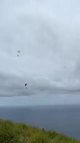The video depicts three paragliders soaring against a backdrop of a cloudy sky and a vast ocean. A grassy slope is visible in the foreground. The paragliders are of different colors, including yellow and red.