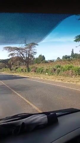 A car travels on a paved road with a yellow dividing line. The landscape features trees and vegetation along the roadside, with a clear blue sky visible above.  The view is from inside the car, looking out through the windshield, and a piece of dark clothing is visible on the dashboard.  Another vehicle passes the camera car on the left.