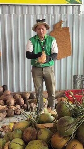A man demonstrates husking a coconut in an outdoor or semi-outdoor setting. He is wearing a straw hat with sunglasses resting on it, a green polo shirt with white sleeves, black arm sleeves, khaki pants, and black gloves. An ID card hangs from a lanyard around his neck.

The man holds a partially husked coconut in his hands and uses a sharp metal tool to efficiently peel off the fibrous husk. He works with precision, rotating the coconut to strip away the outer layer.

The background consists of a grey corrugated metal wall. Around him, the ground is covered with numerous coconuts, some fully husked, others still in their fibrous shells. A large, pointed metal spike, presumably the tool used for husking, is stuck upright in the ground near his feet. A red plastic basket is visible on the right, and a yellow sign with green text, partially obscured, is at the top of the frame. The word "VIET" can be seen on his shirt. The scene is brightly lit, indicating it is daytime.