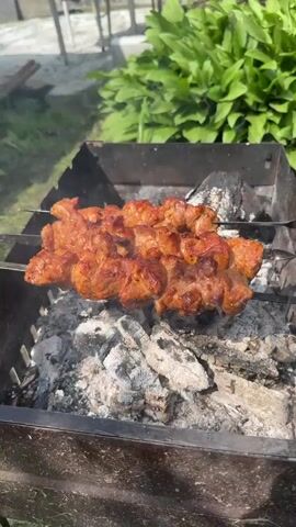The video shows several skewers of raw meat cooking on a charcoal grill outdoors. The meat is arranged on metal skewers and is beginning to brown as it cooks over the hot coals. The grill itself is a simple, portable metal barbecue. In the background, lush green foliage suggests a garden or park setting, bathed in bright sunlight. The overall impression is one of preparing a meal outdoors, likely for a barbecue or picnic.