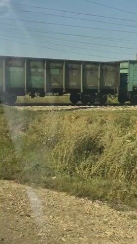 A train is moving to the left. The train cars are green and appear to be freight cars. The train is on a track. There is a grassy area in front of the train. There are power lines above the train. The sky is blue and clear. The sun is shining.