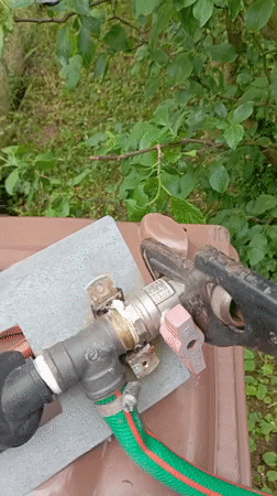 Morning outdoor maintenance and gardening activities in Nitra