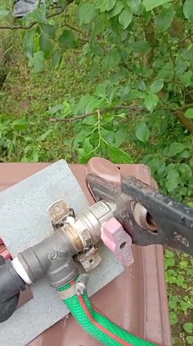 Morning outdoor maintenance and gardening activities in Nitra