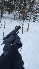 Person with gun documented in snowy Khimki forest