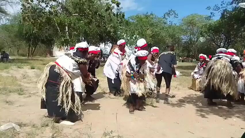 Certainly! Here is a detailed description of the video:

**Overview:**

The video captures a cultural performance involving a group of people in an outdoor setting.

**People:**

*   There are several individuals dressed in traditional attire. Most wear white head wraps with red accents and are draped in clothing that combines white and black fabrics with fringe or straw-like embellishments.
*   Some people are sitting and playing drums in the background.
*   A person in black is walking around with the group.

**Objects:**

*   Drums are visible, which are likely the source of the music.
*   The clothing worn by the performers features significant detailing, including fringe and patterns.
*   The backdrop includes trees, possibly part of a wooded area, as well as a glimpse of what appears to be a temporary shelter or tent.

**Actions:**

*   The group of individuals is moving rhythmically, likely as part of a dance or ritualistic performance.
*   The music being played provides the soundtrack to their movements, setting the tone and pace of the performance.

**Interactions:**

*   The performers are clearly interacting with each other through their synchronized movements and coordinated actions.
*   The person walking around them might be a guide or a supervisor.

**Environment:**

*   The setting is an open area covered with sand.
*   It is a clear day with plenty of sunlight.
*   The trees and vegetation indicate a natural or semi-natural environment, possibly a rural or village setting.